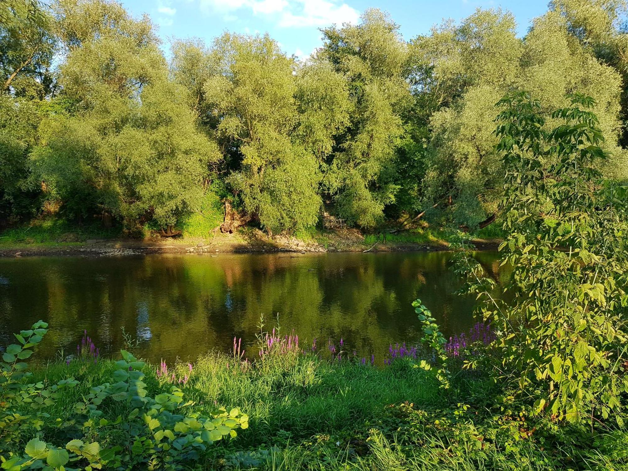 Viadrina Rooms & Apartments Frankfurt-Oder Am Park Im Zentrum Frankfurt  Luaran gambar