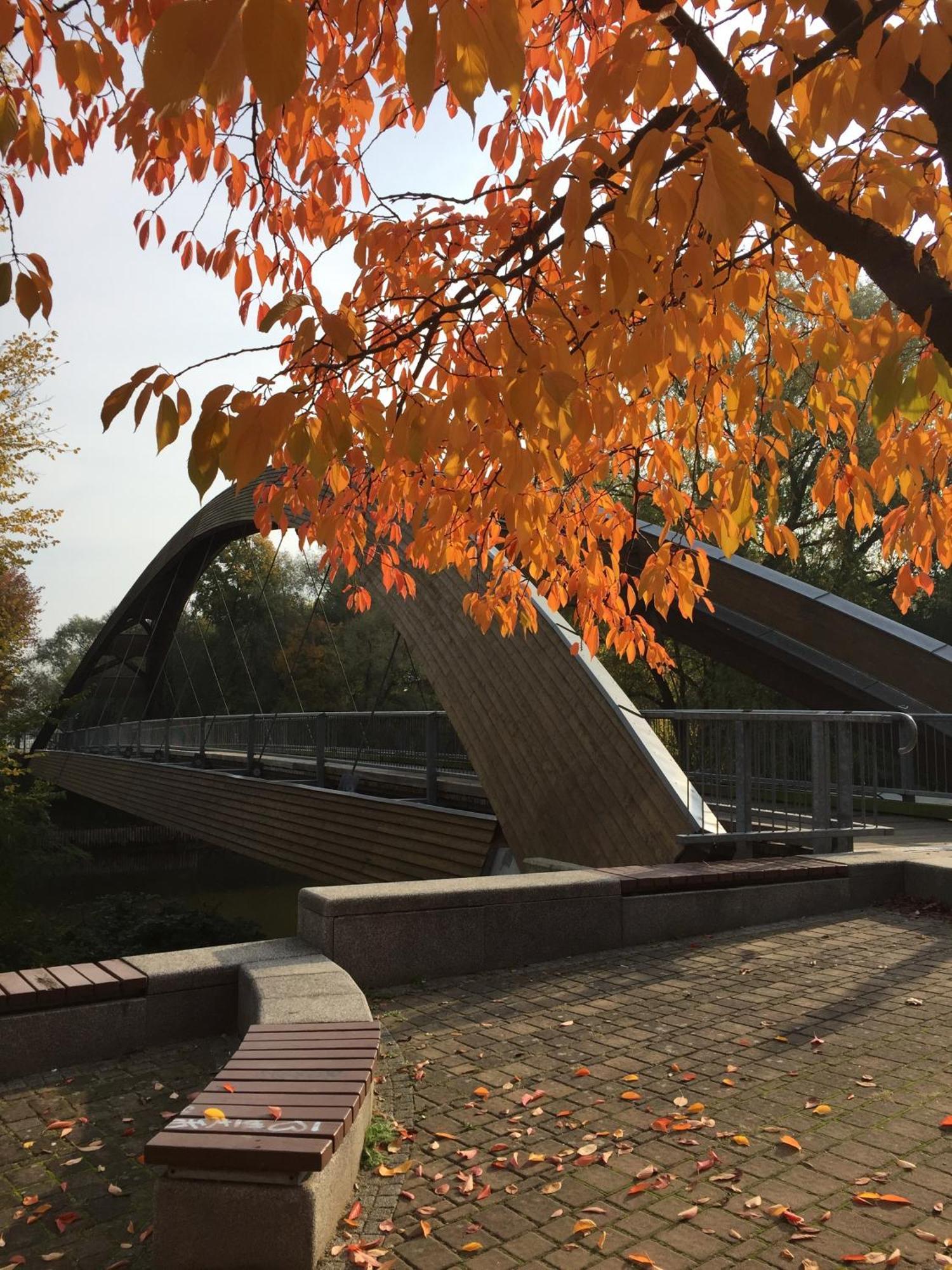 Viadrina Rooms & Apartments Frankfurt-Oder Am Park Im Zentrum Frankfurt  Luaran gambar