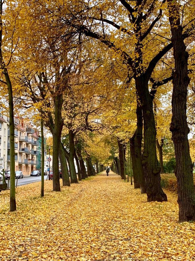 Viadrina Rooms & Apartments Frankfurt-Oder Am Park Im Zentrum Frankfurt  Luaran gambar